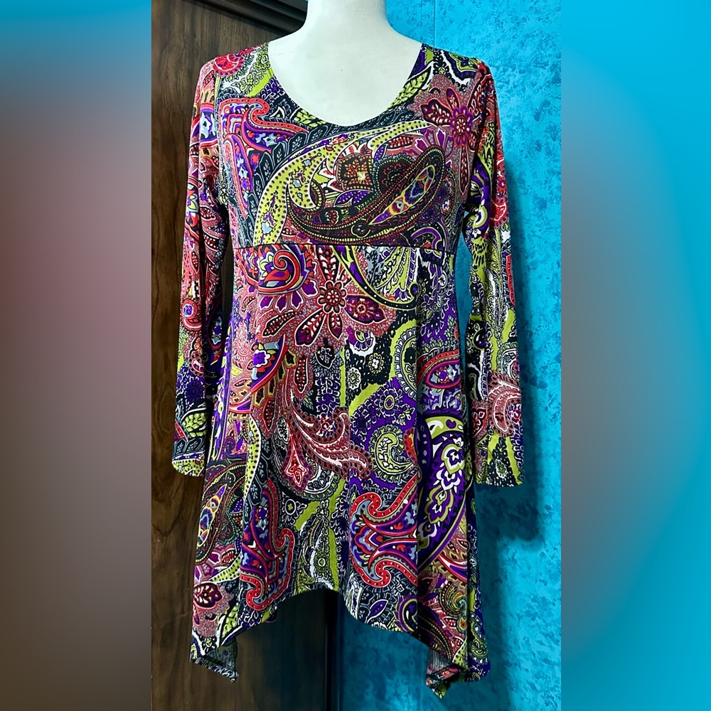 Anthony Multi Color Paisley Tunic Top